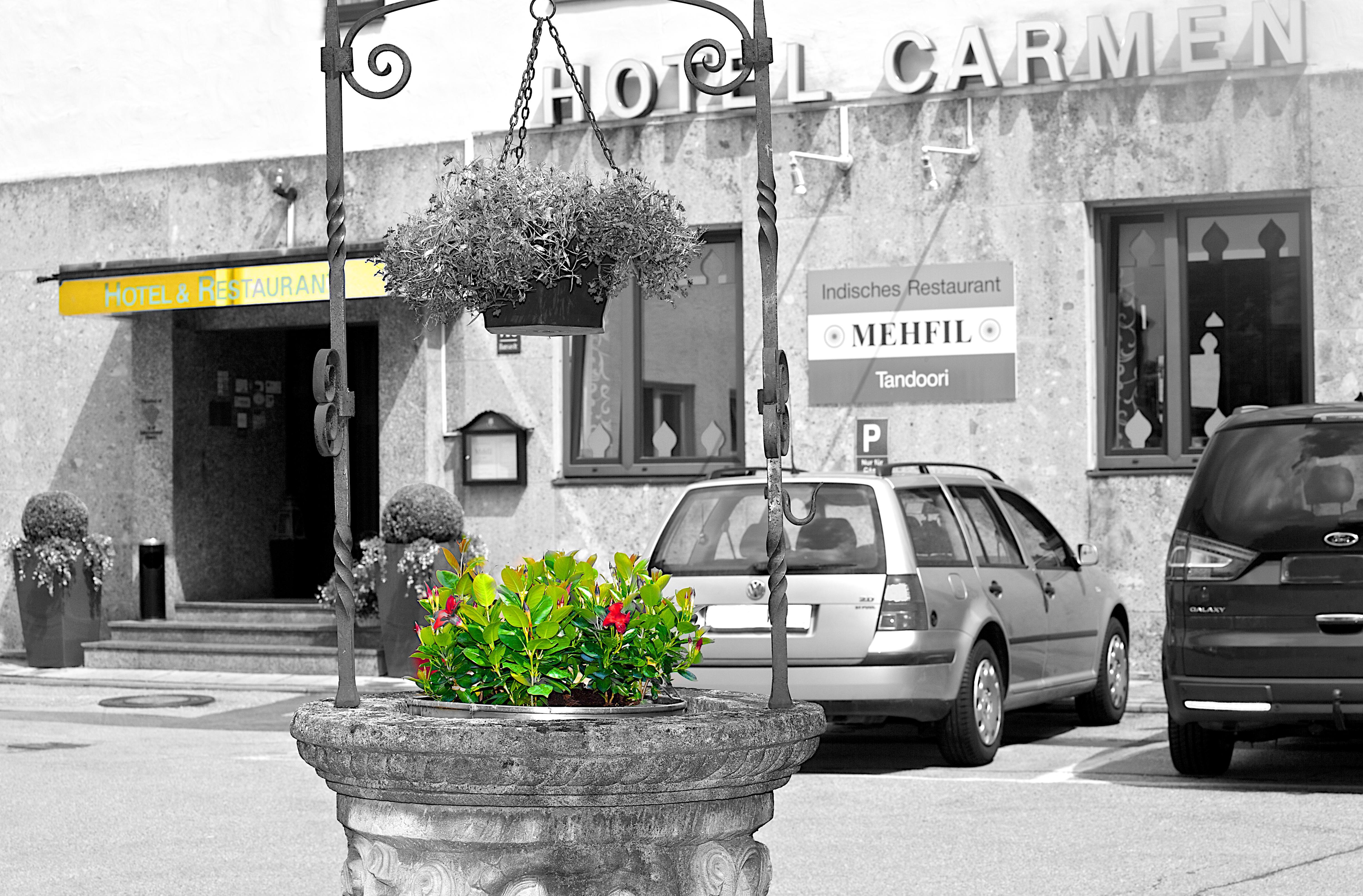 Hotel Carmen Münih Dış mekan fotoğraf